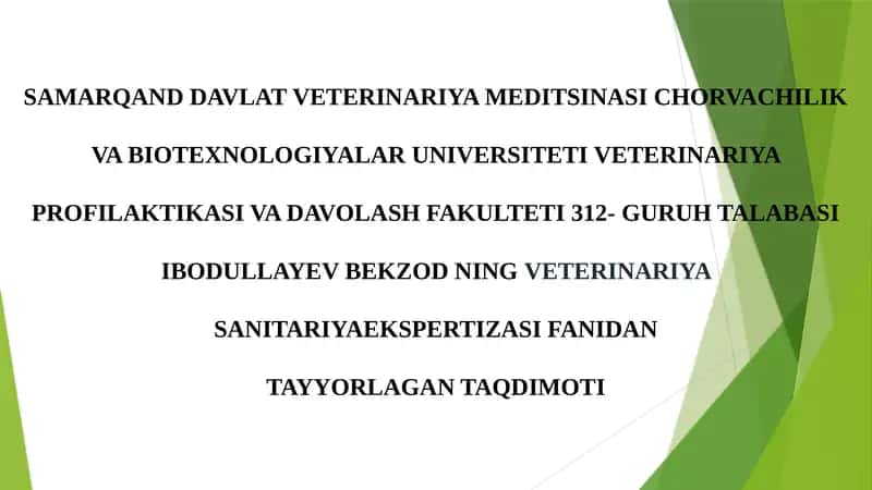 Zamburug'larning veterinariya sanitariya ekspertizasi