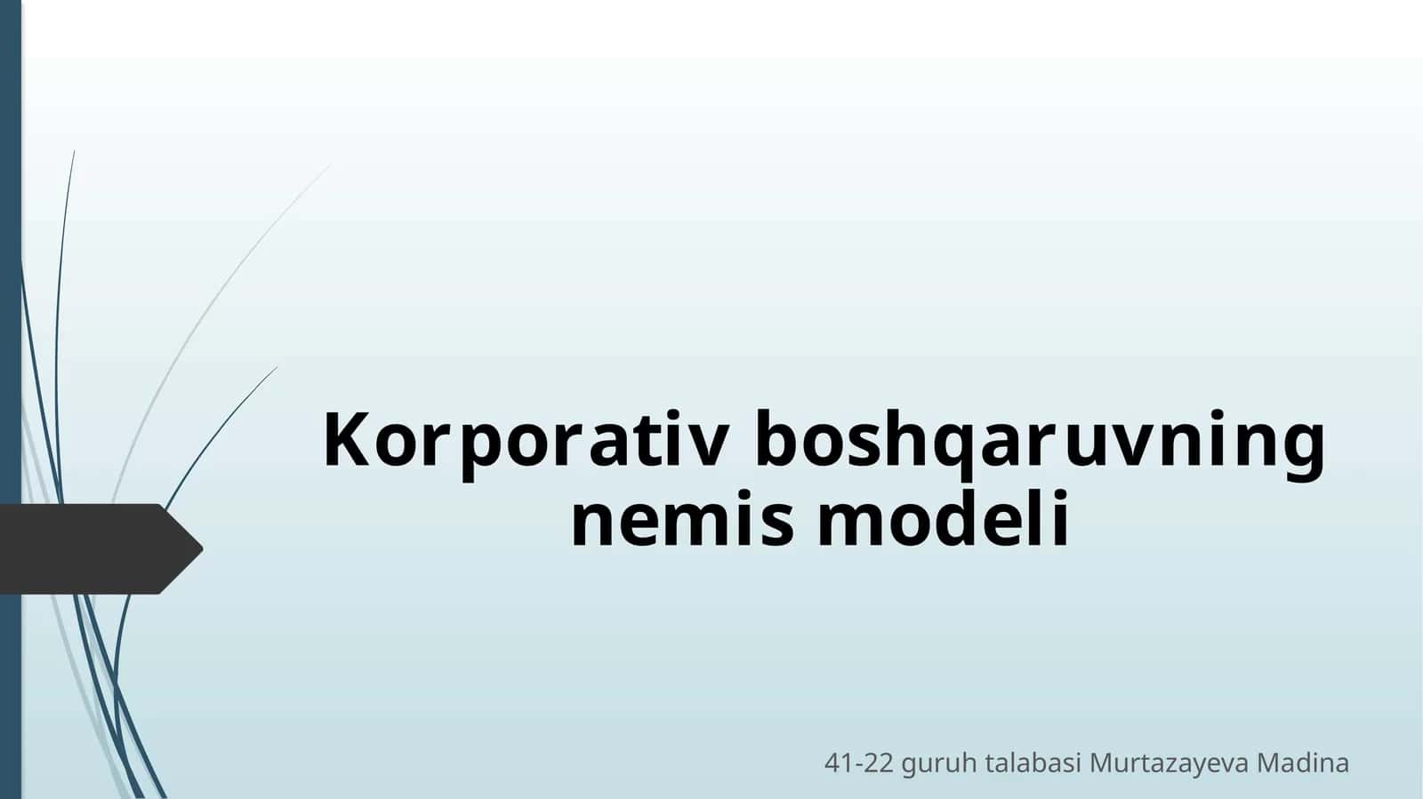 Korporativ boshqaruvning nemi modeli