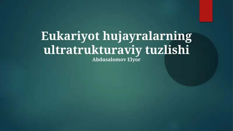 Eukariyot hujayralarning ultratrukturaviy tuzlishi