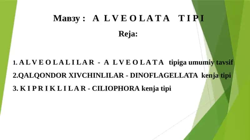 ALVEOLATATIPI