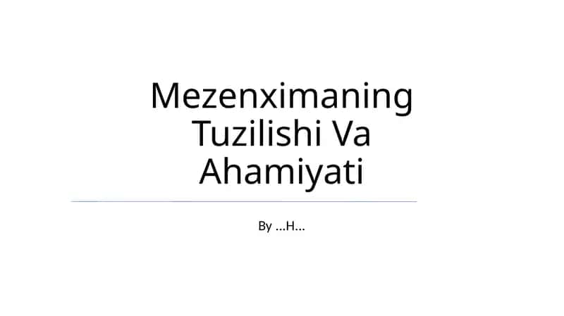 Mezenximaning Tuzilishi Va Ahamiyati