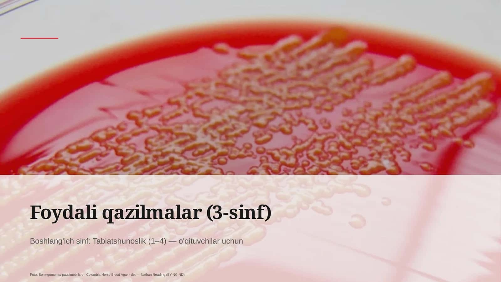 Foydali qazilmalar (3-sinf)