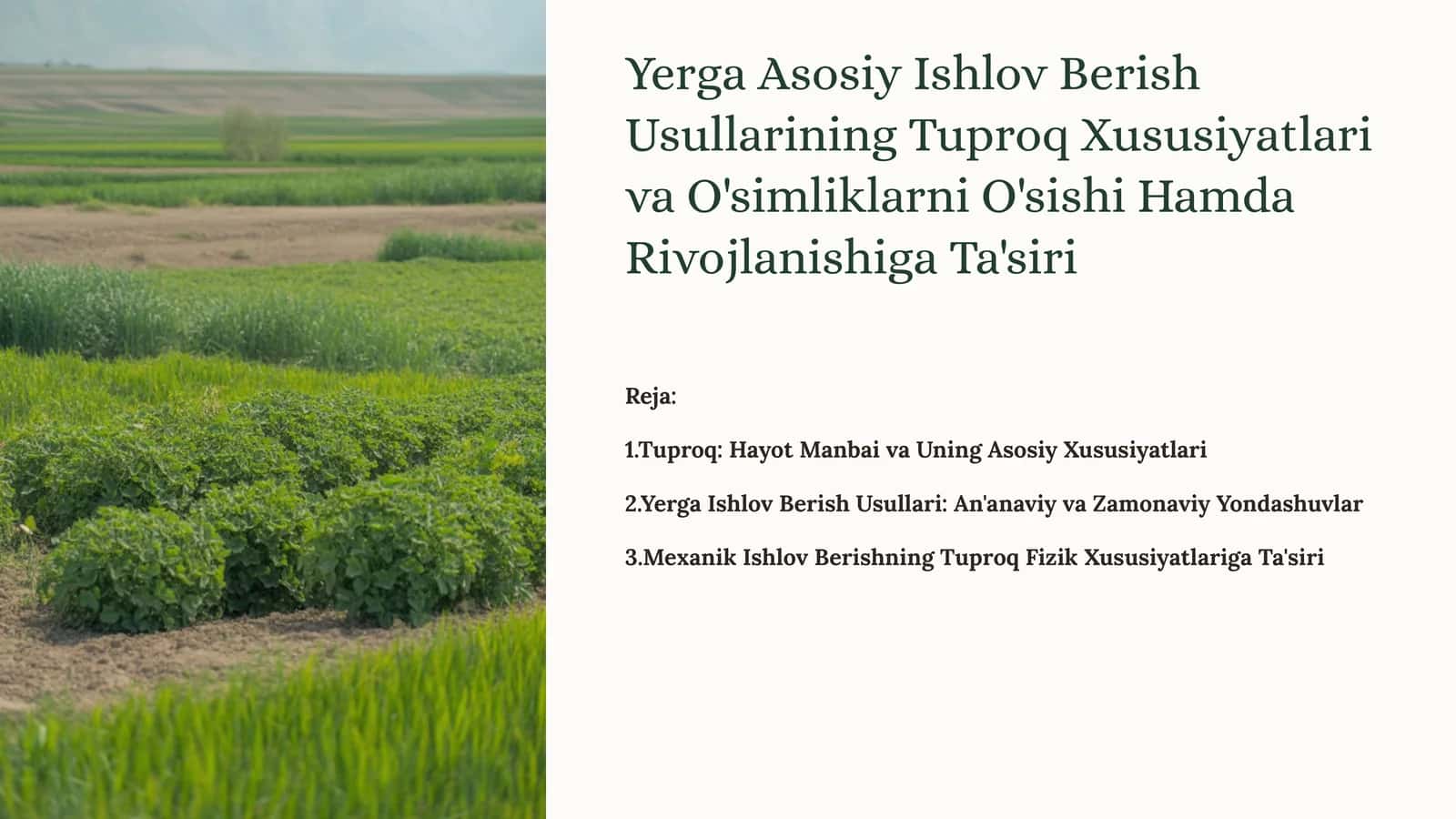 Yerga Asosiy Ishlov Berish Usullarining Tuproq Xususiyatlari va O'simliklarni O'sishi Hamda Rivojlanishiga Ta'siri
