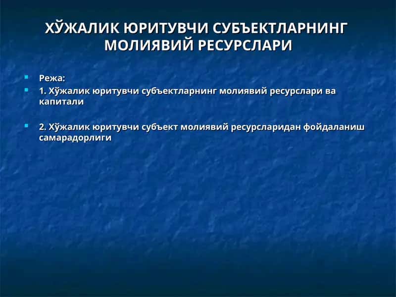 ХЎЖАЛИК ЮРИТУВЧИ СУБЪЕКТЛАРНИНГМОЛИЯВИЙ РЕСУРСЛАРИ