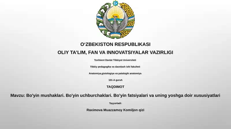Bo'yin mushaklari