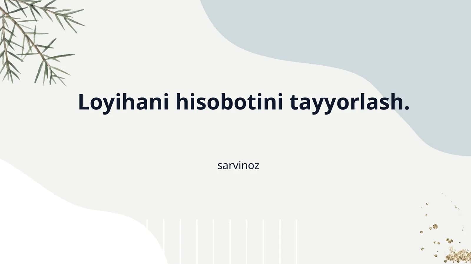Loyihani hisobotini tayyorlash.