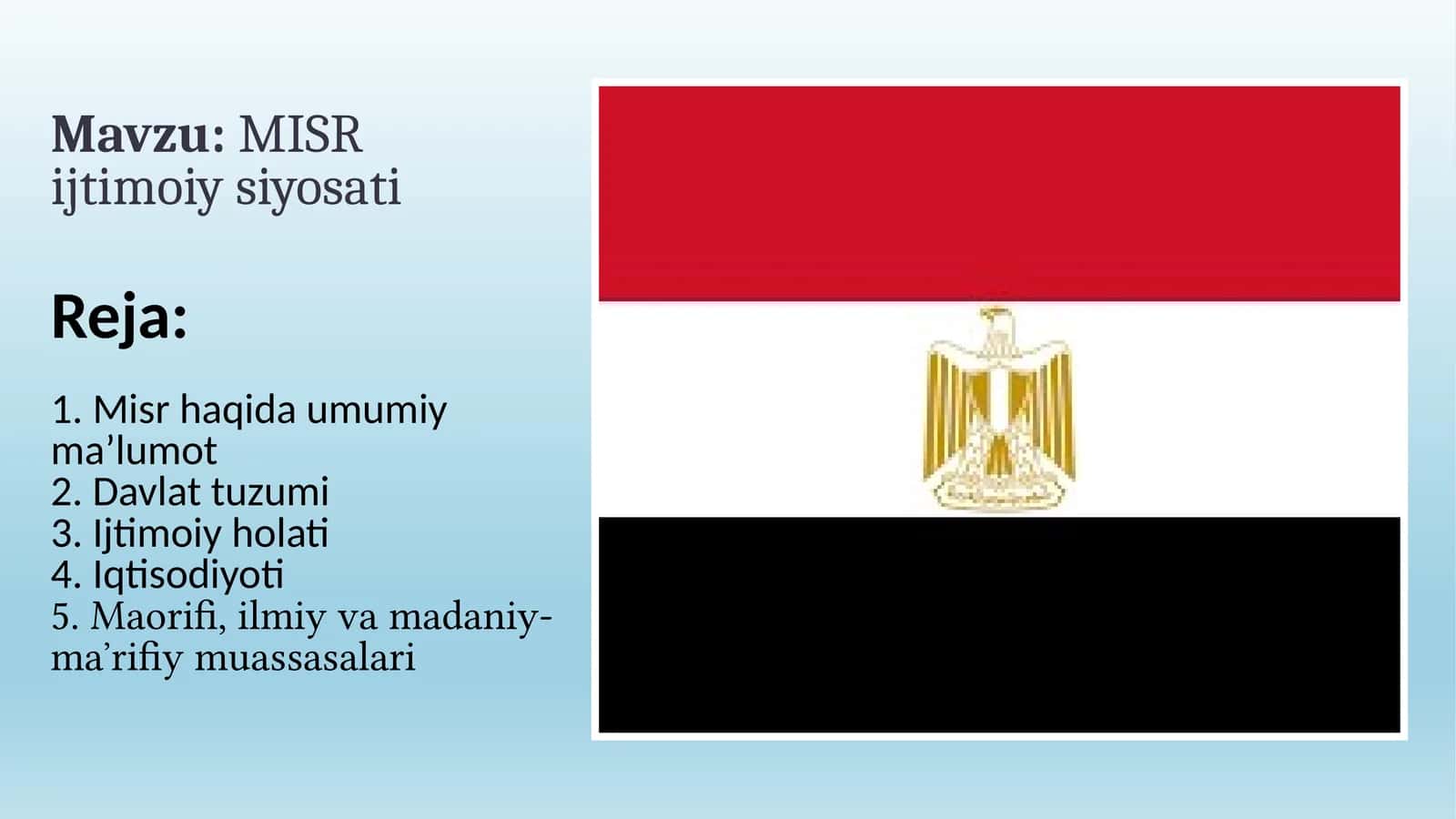 MISR ijtimoiy siyosati