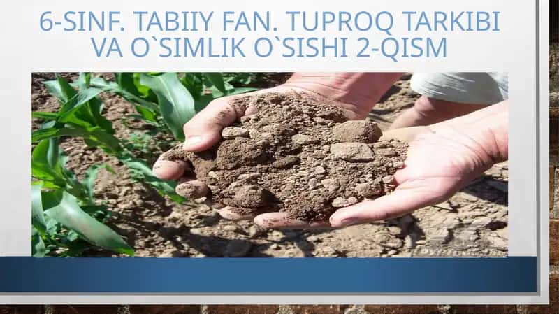 Tuproq tarkibi va o'simlik o'sishi 2-qism