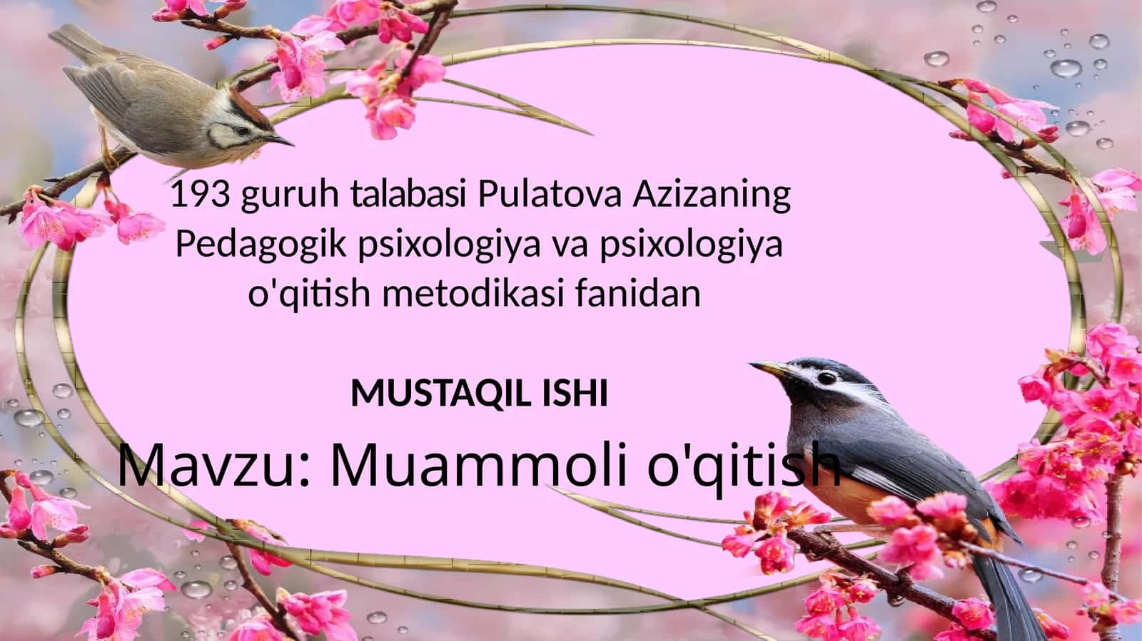 Muammoli o'qitish