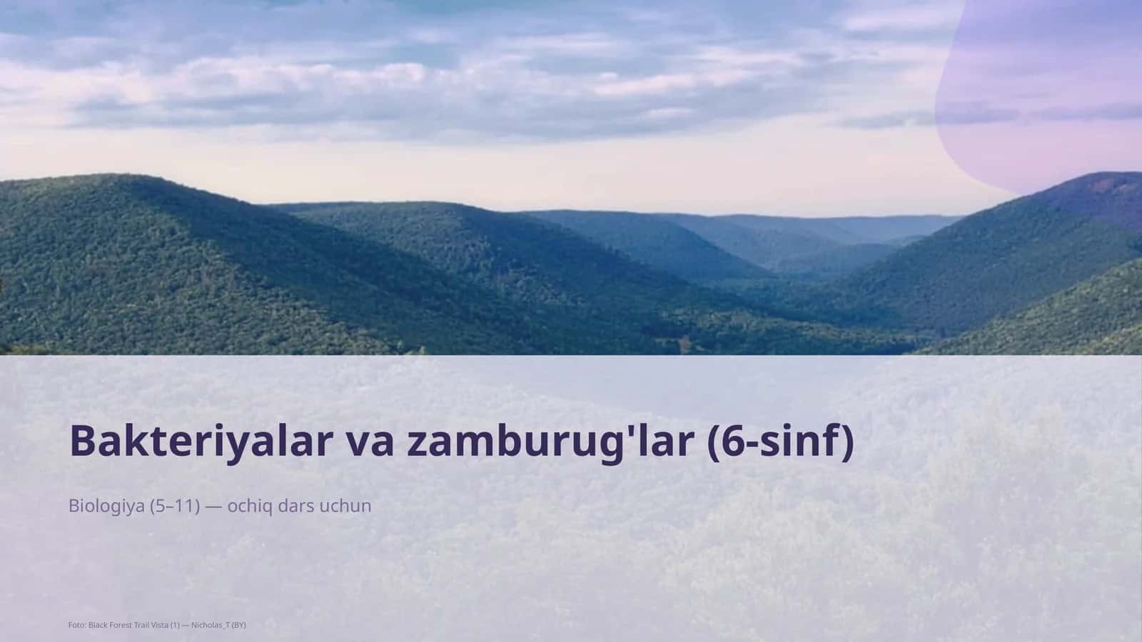Bakteriyalar va zamburug'lar (6-sinf)