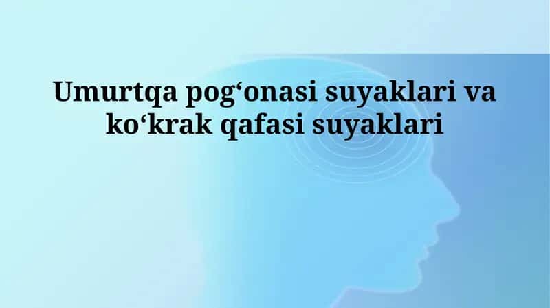 Umurtqa pogʻonasi suyaklari va koʻkrak qafasi suyaklari