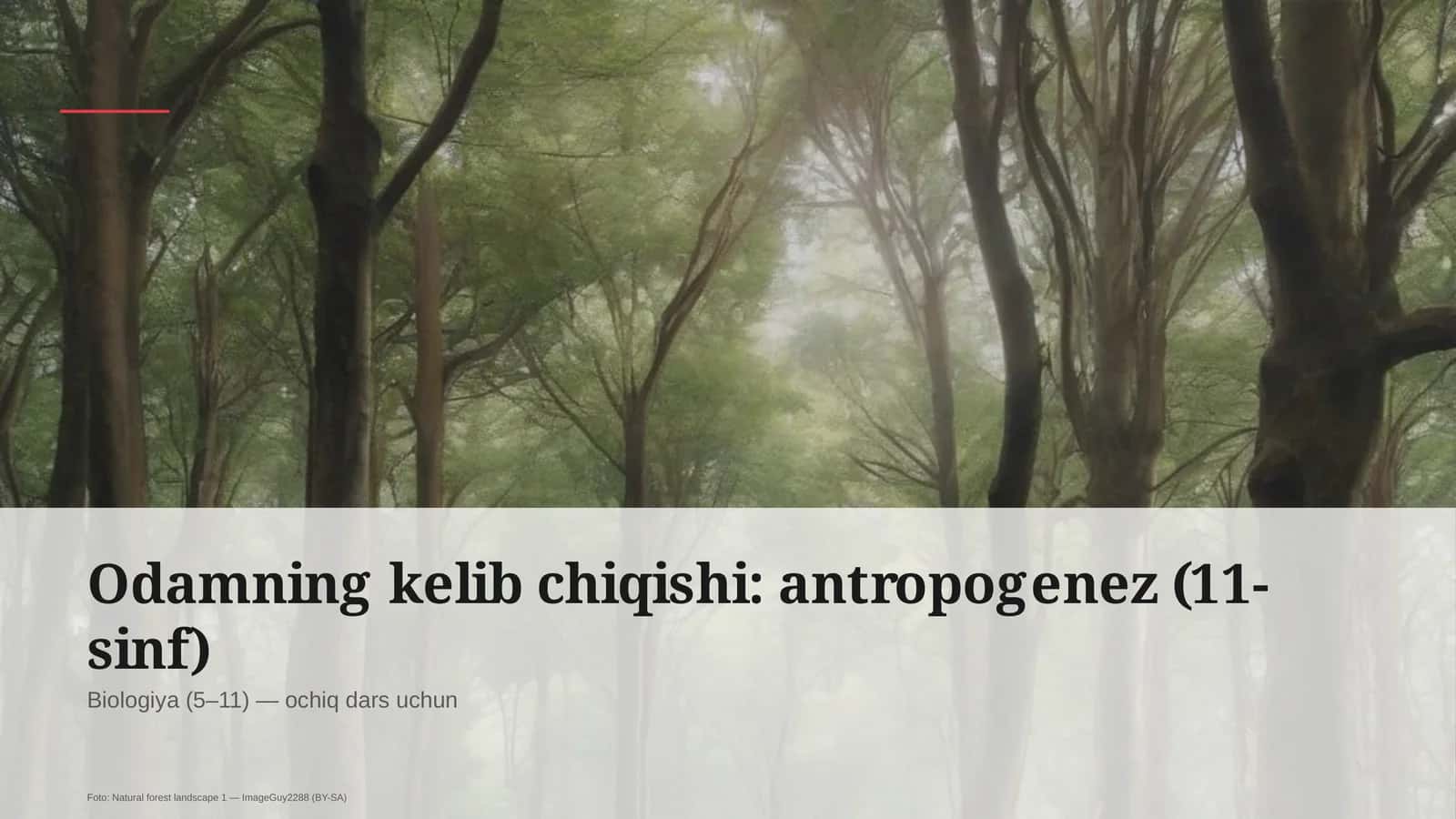 Odamning kelib chiqishi: antropogenez (11-sinf)