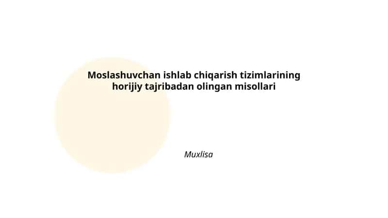 Moslashuvchan ishlab chiqarish tizimlarining horijiy tajribadan olingan misollari