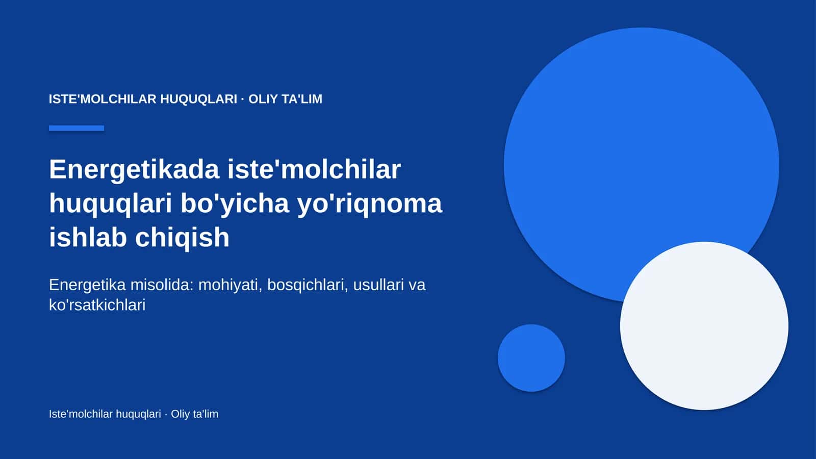 Energetikada iste'molchilar huquqlari bo'yicha yo'riqnoma ishlab chiqish
