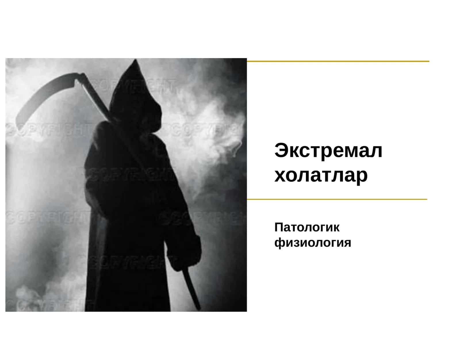 Экстремал холатлар