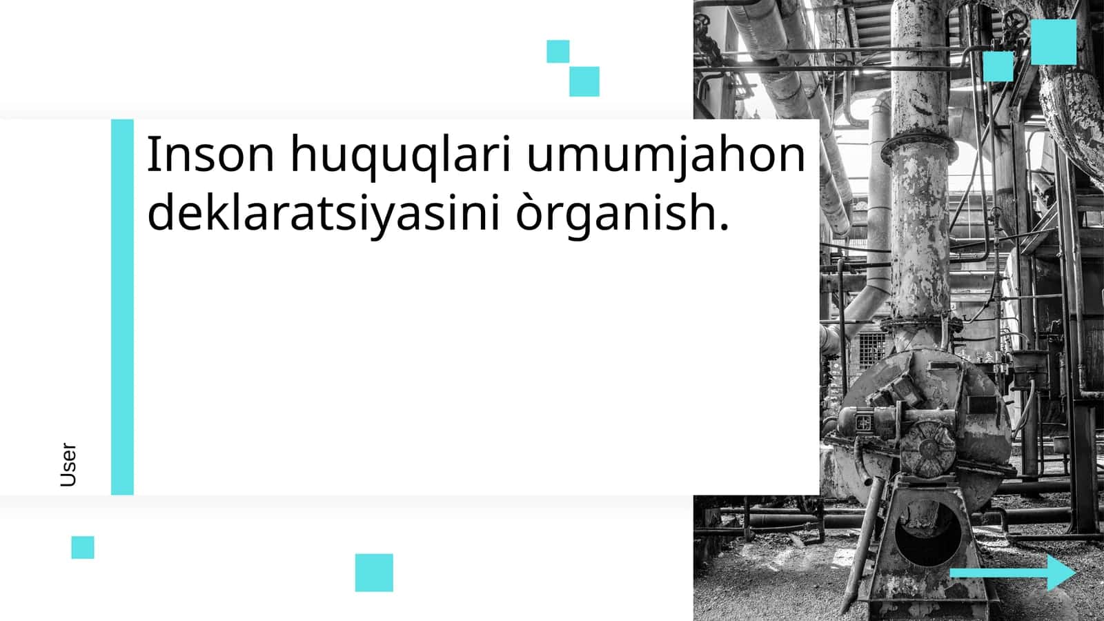Inson huquqlari umumjahon deklaratsiyasini òrganish