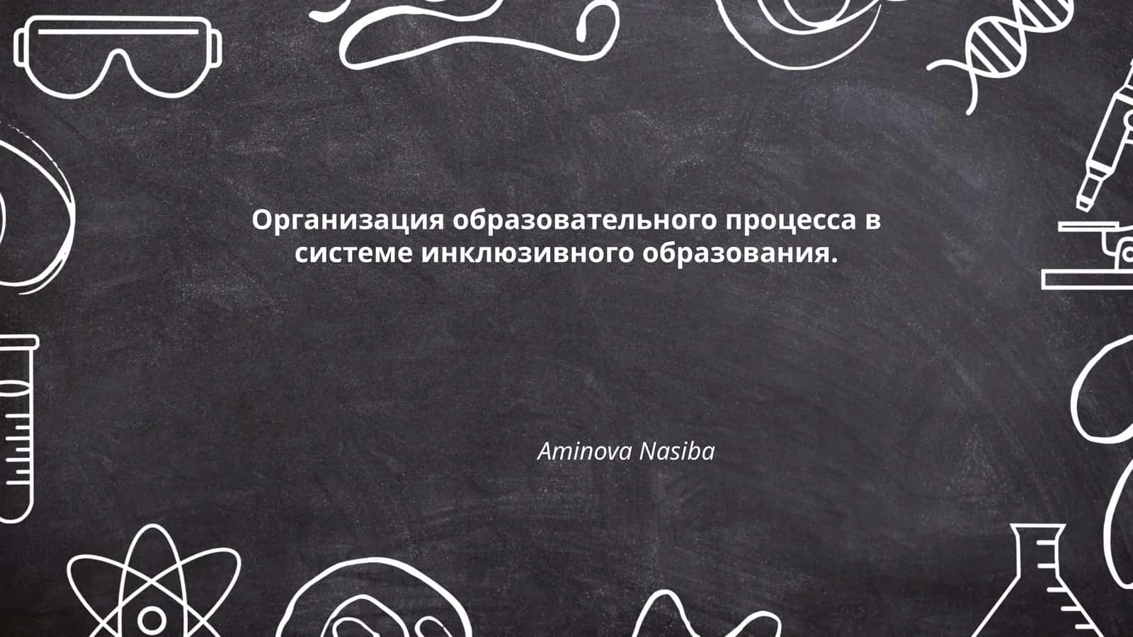 Организация образовательного процесса в системе инклюзивного образования
