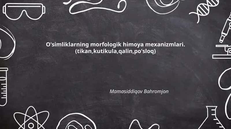 O'simliklarning morfologik himoya mexanizmlari