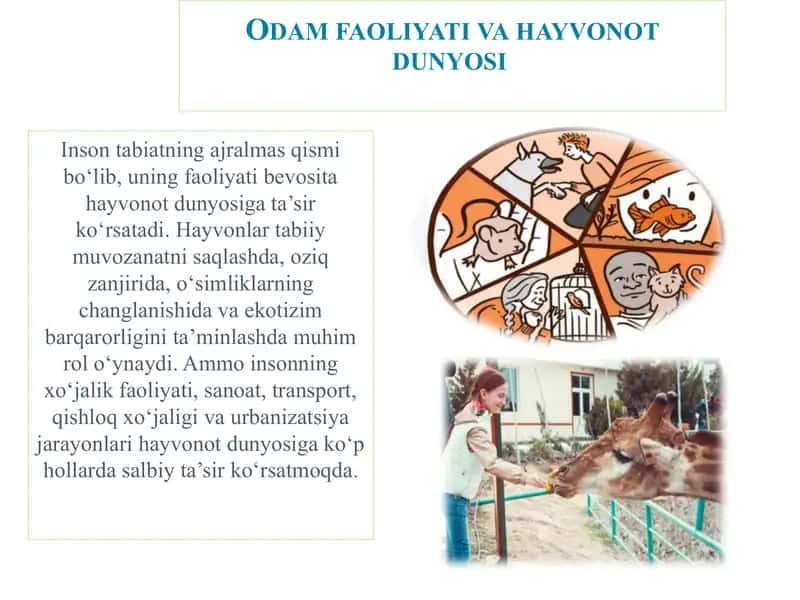 Odam faoliyati va hayvonot dunyosi - Bioekologiya fanining predmeti, maqsadi va vazifalari