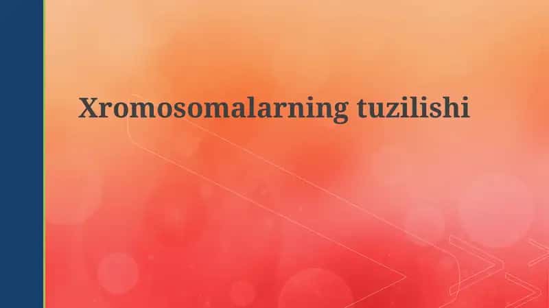 Xromosomalarning tuzilishi