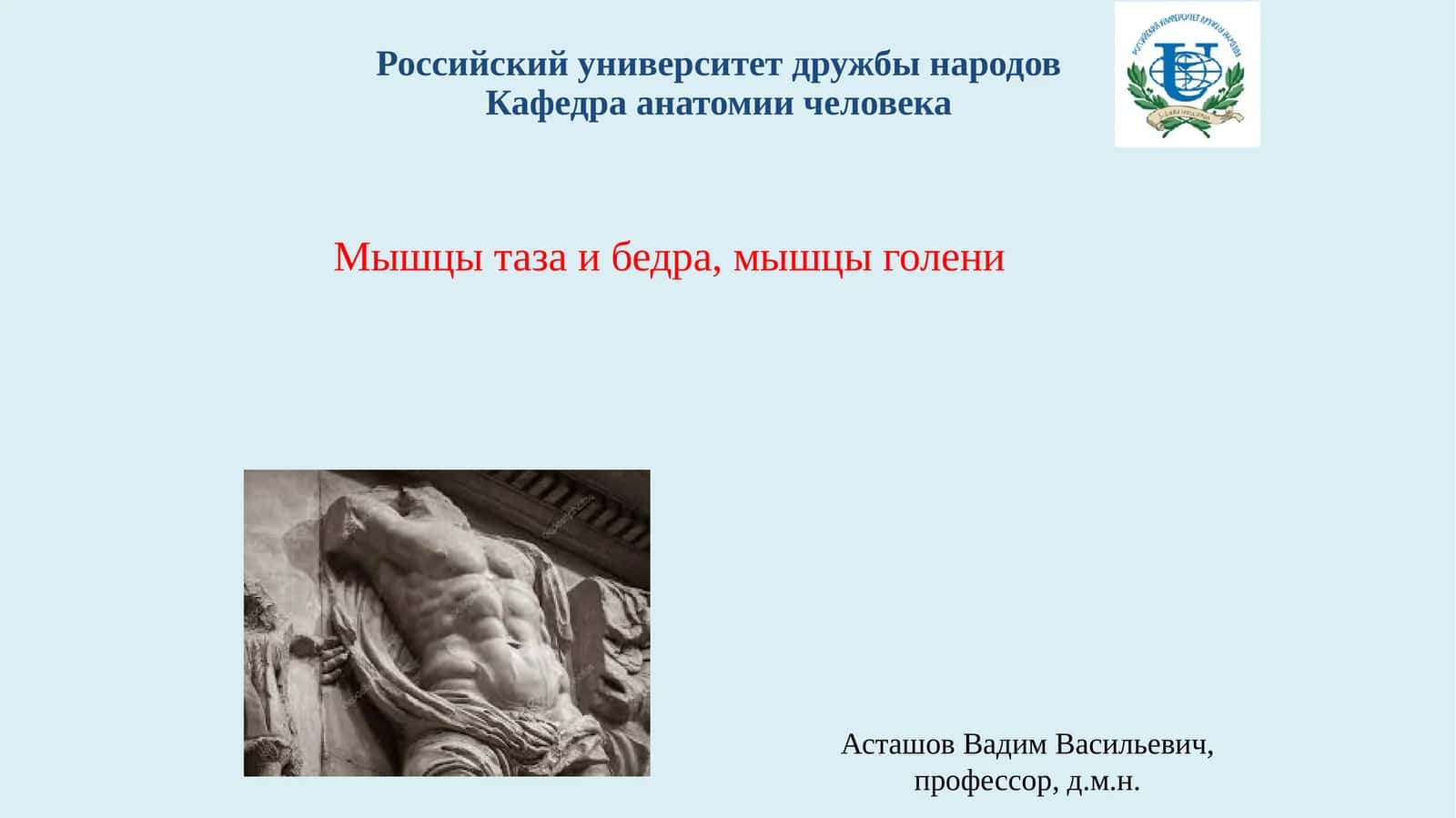 МЫШЦЫ, ДЕЙСТВУЮЩИЕ НА ТАЗОБЕДРЕННЫЙ СУСТАВ