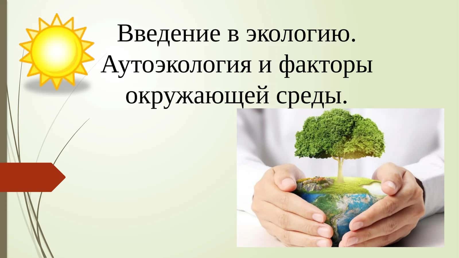 Введение в экологию. Аутоэкология и факторы окружающей среды