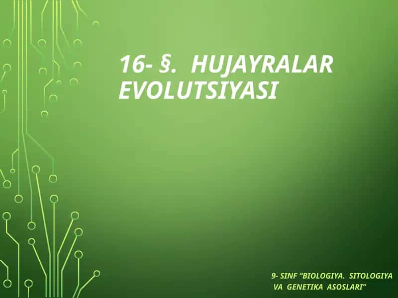 Hujayra lar evolutsiyasi