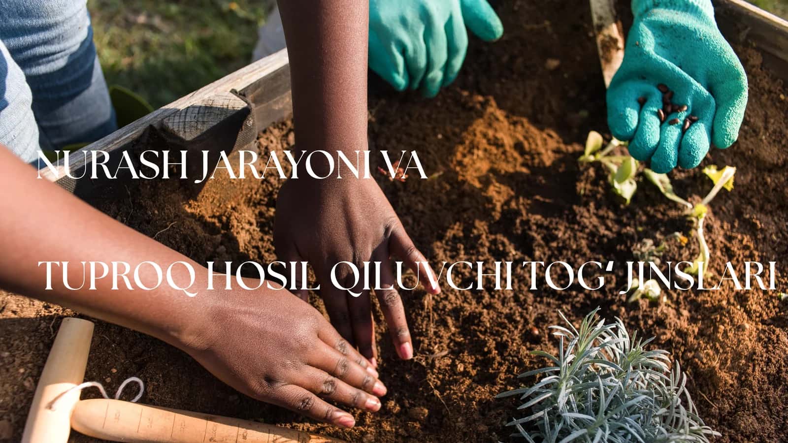 NURASH JARAYONI VA TUPROQ HOSIL QILUVCHI TOGʻ JINSLARI