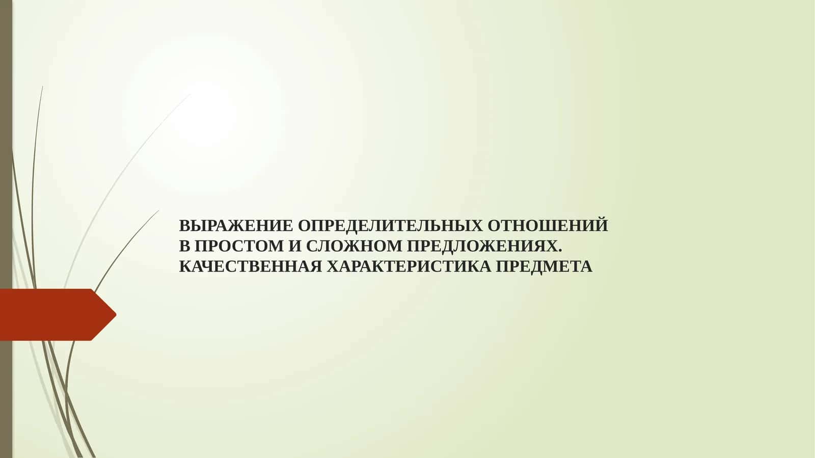ВЫРАЖЕНИЕ ОПРЕДЕЛИТЕЛЬНЫХ ОТНОШЕНИЙ В ПРОСТОМ И СЛОЖНОМ ПРЕДЛОЖЕНИЯХ. КАЧЕСТВЕННАЯ ХАРАКТЕРИСТИКА ПРЕДМЕТА