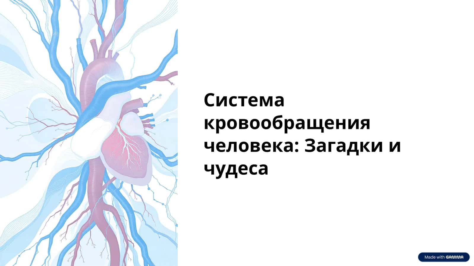 Система кровообращения человека: Загадки и чудеса