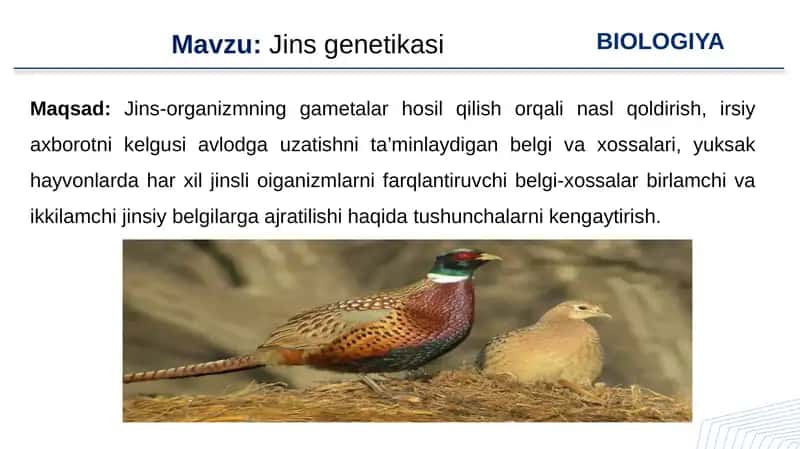 Jins genetikasi