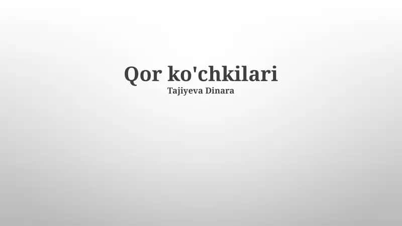 Qor ko'chkilari