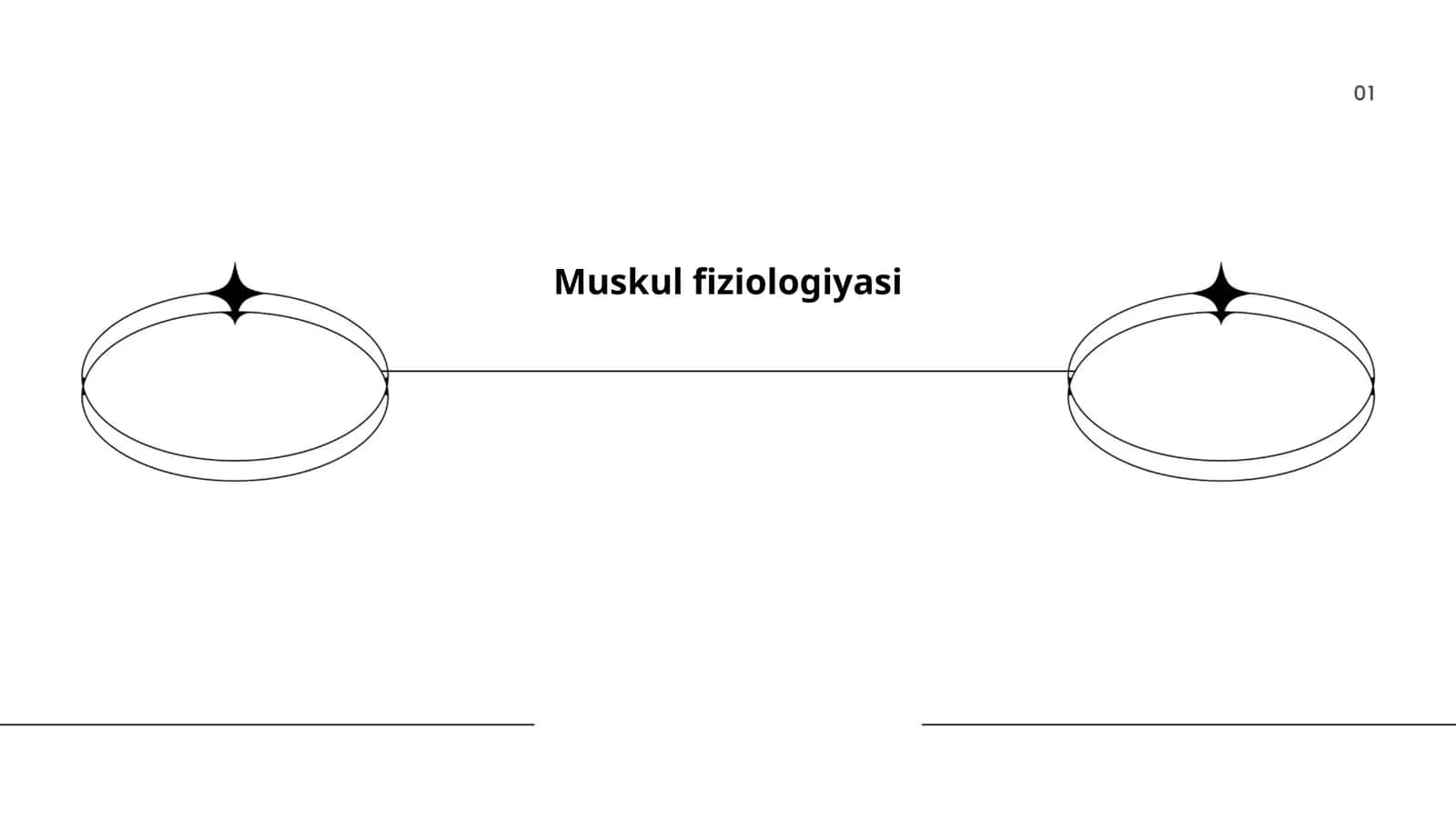 Muskul fiziologiyasi