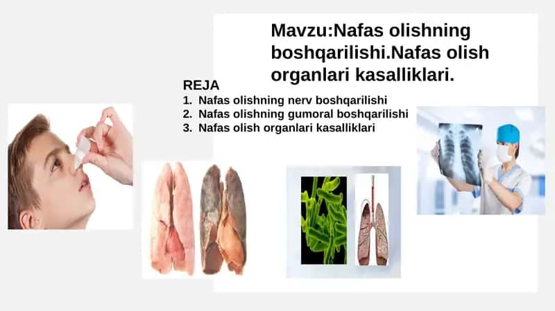 Nafas olish sistemasi va nafas olish sistemasi kasalliklari