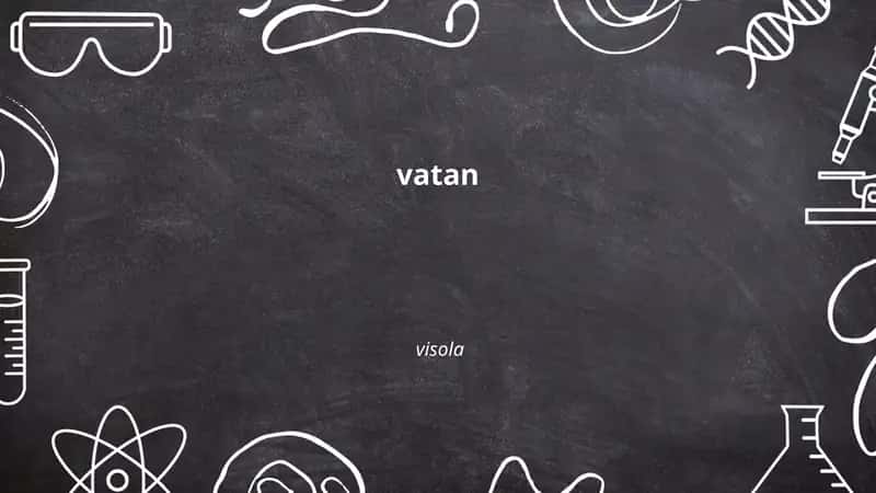 Vatan tuyg'usi