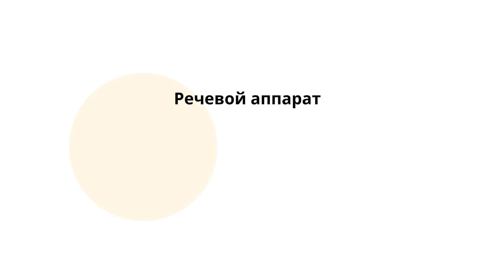 Речевой аппарат