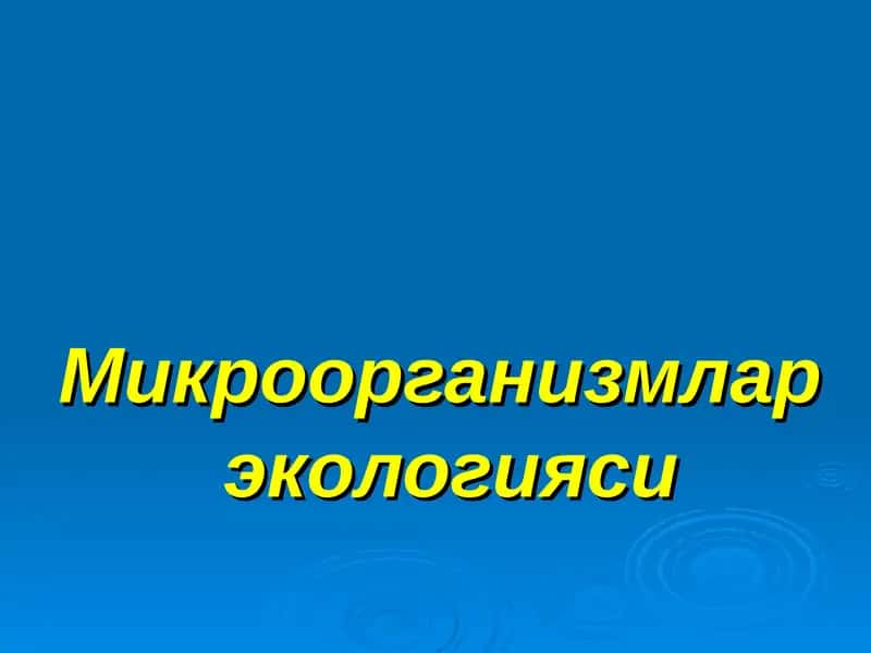 Микроорганизмлар  экологияси