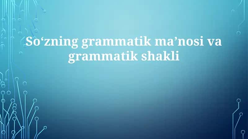 So'zning grammatik ma'nosi va shakli
