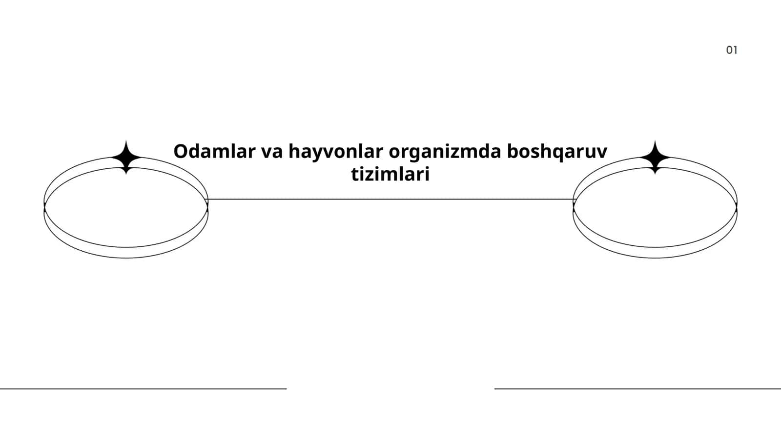 Odamlar va hayvonlar organizmda boshqaruv tizimlari
