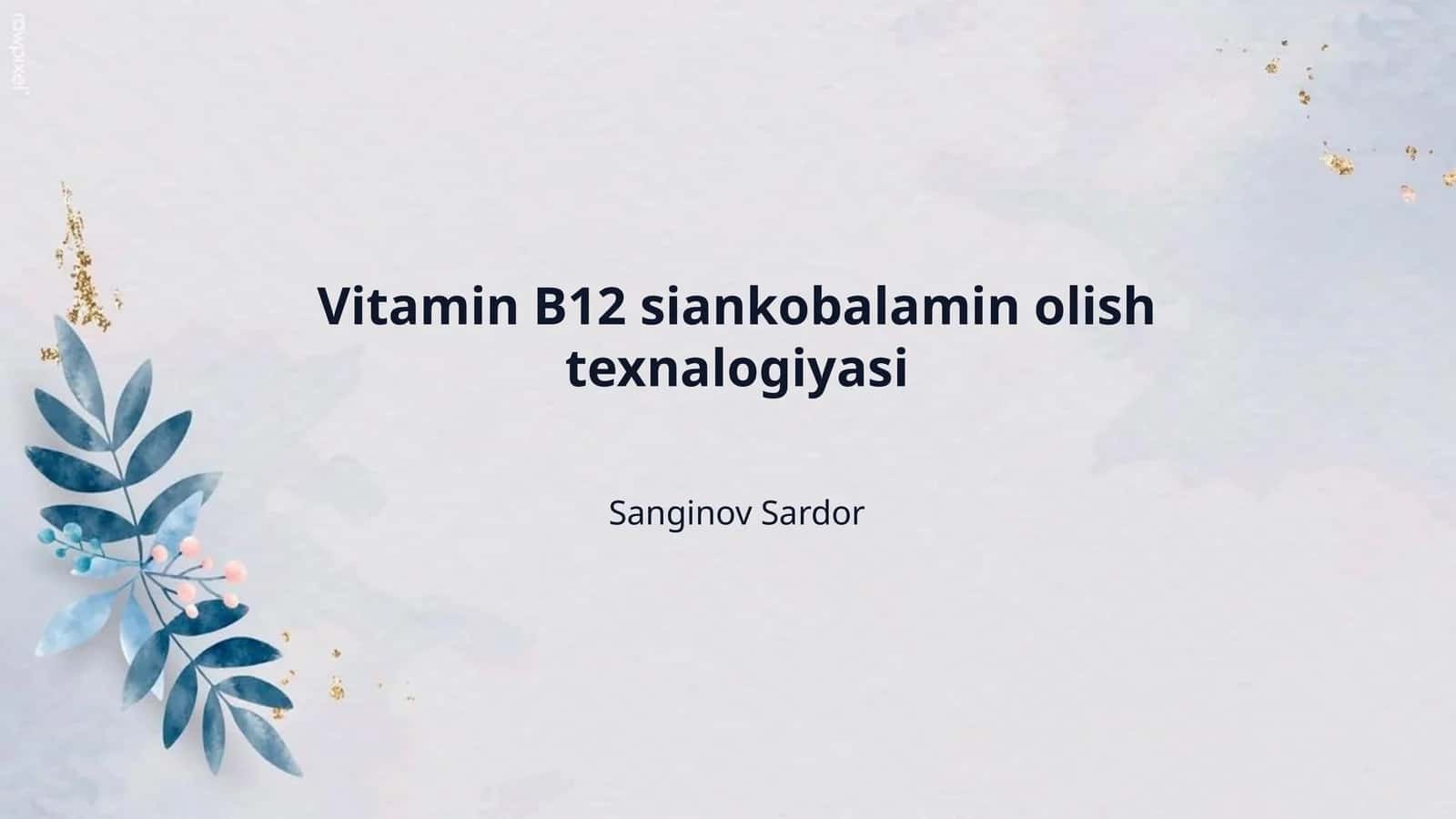 Vitamin B12 siankobalamin olish texnalogiyasi
