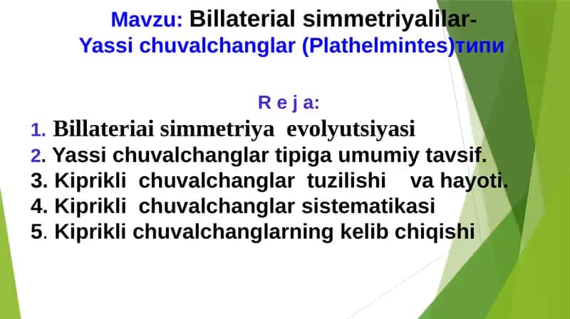 Yassichuvalchanglar (Plathelmintes) типи