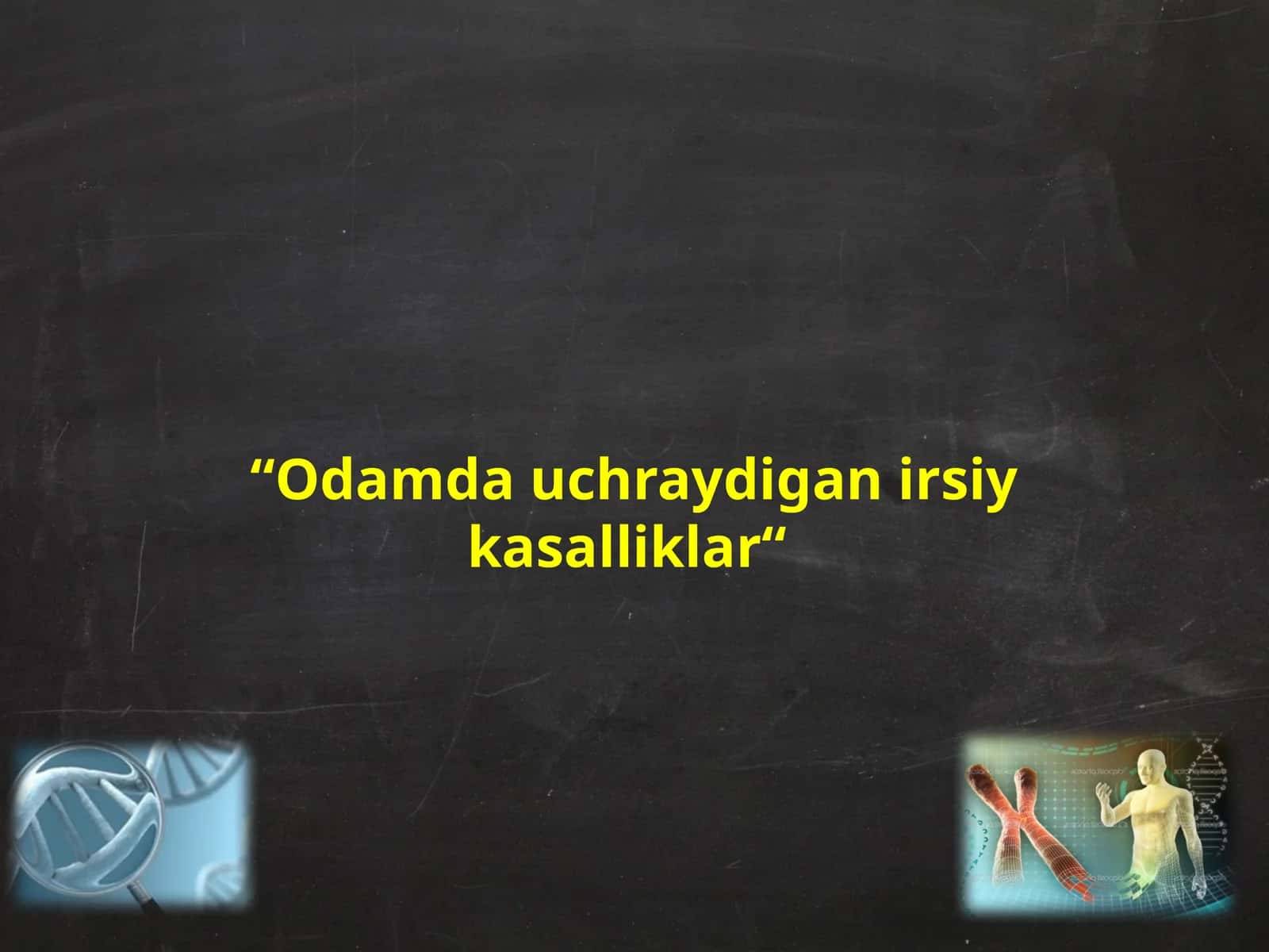 Odamdauchraydiganirsiykasalliklar