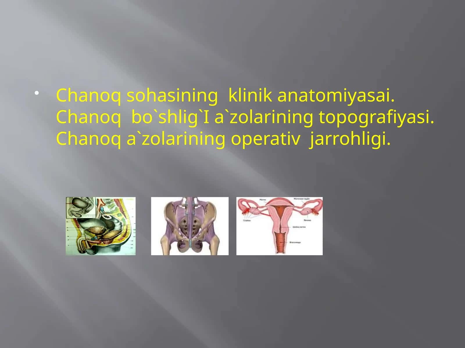Chanoqsohasining klinika anatomiyasi