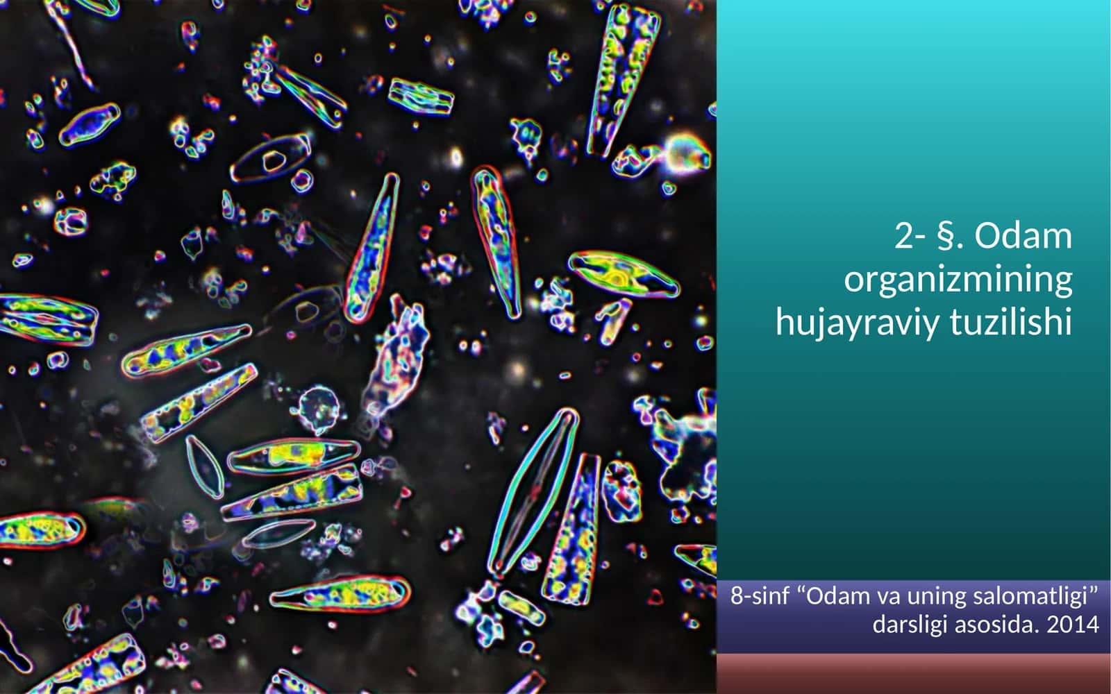 Odam organizmining hujayraviy tuzilishi