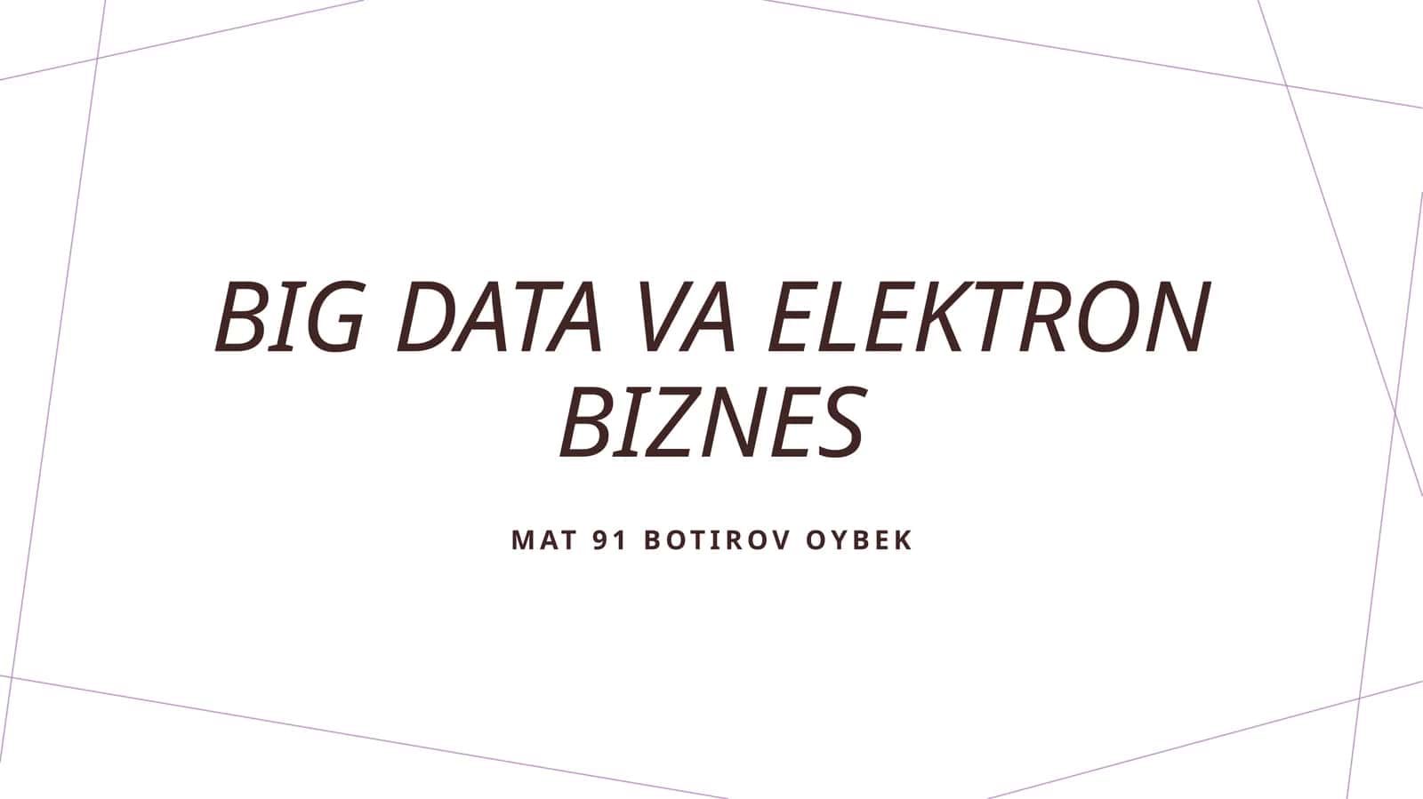 Big Data va elektron biznes