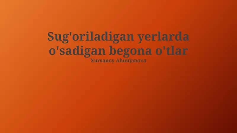 Sug'oriladigan yerlarda o'sadigan begona o'tlar