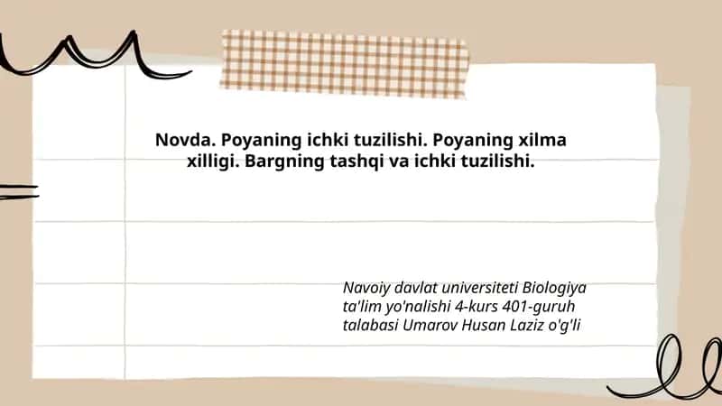 Novda