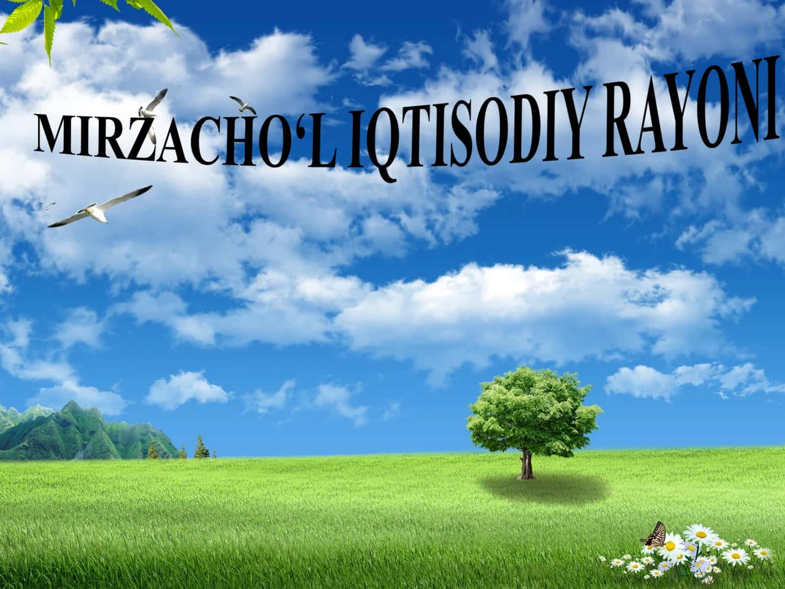 MIRZACHO‘L IQTISODIY RAYONI