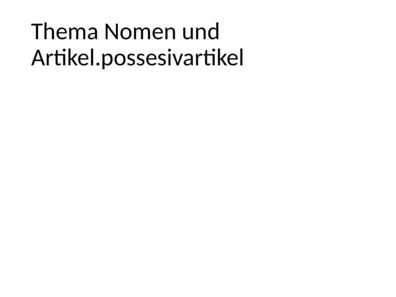Thema Nomen und Artikel.possesivartikel