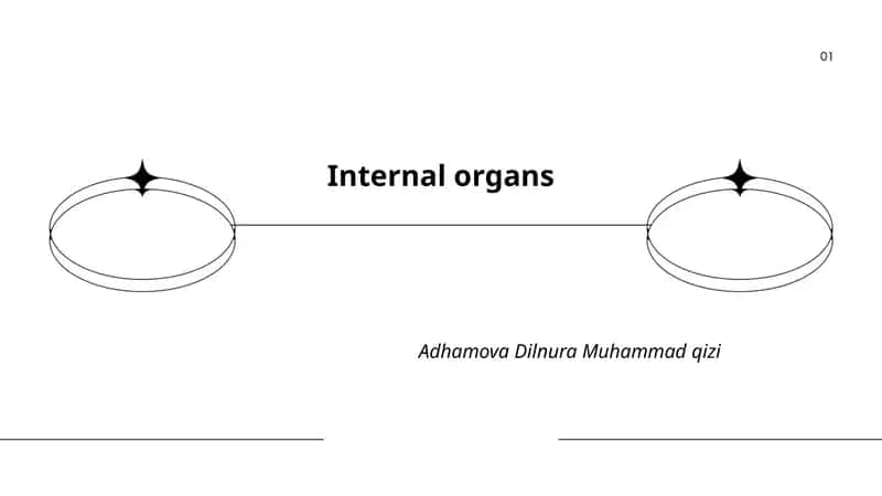 Internal organs